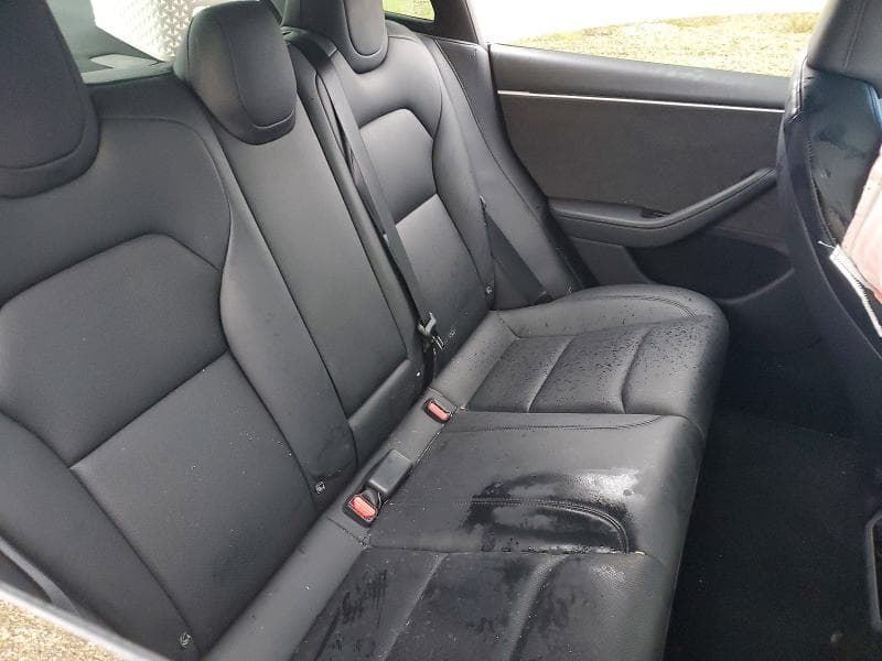 2024 TESLA MODEL 3 10