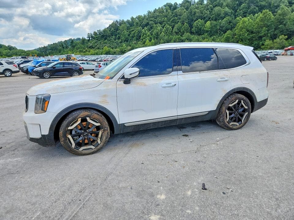 2025 KIA TELLURIDE EX - 1