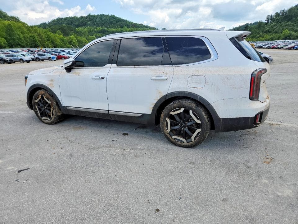 2025 KIA TELLURIDE EX 2