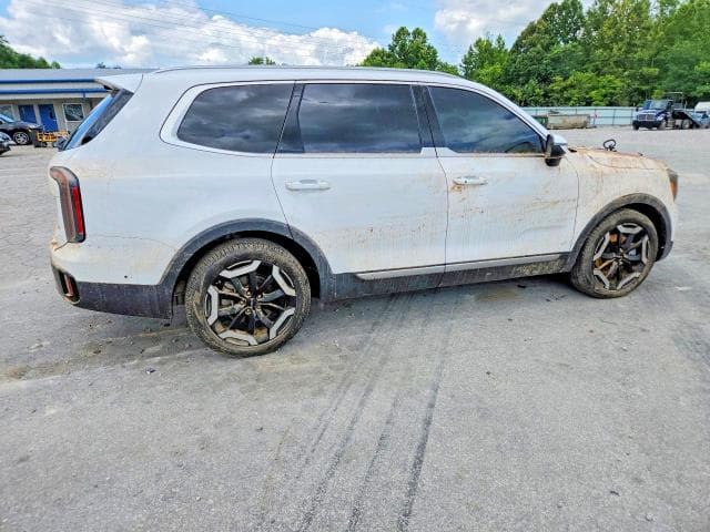2025 KIA TELLURIDE EX 3