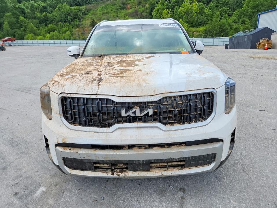2025 KIA TELLURIDE EX 5