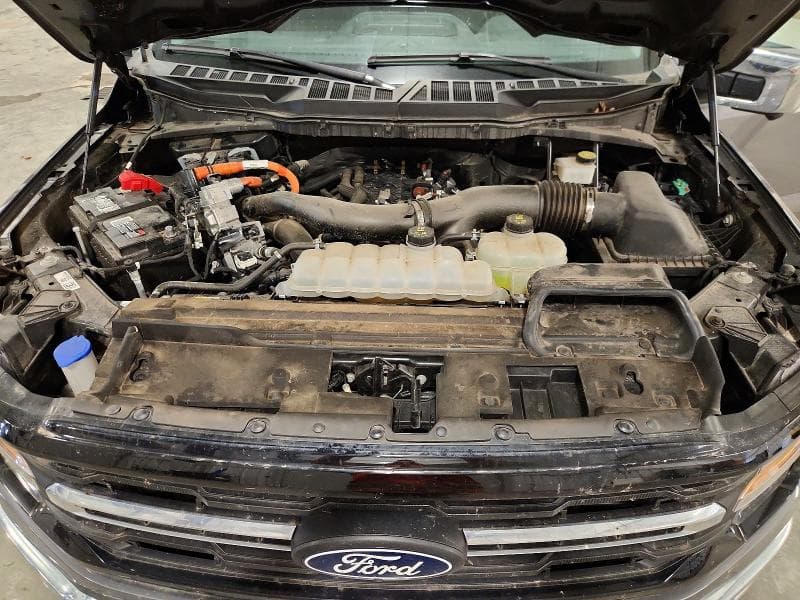 2024 FORD F150 XLT 11