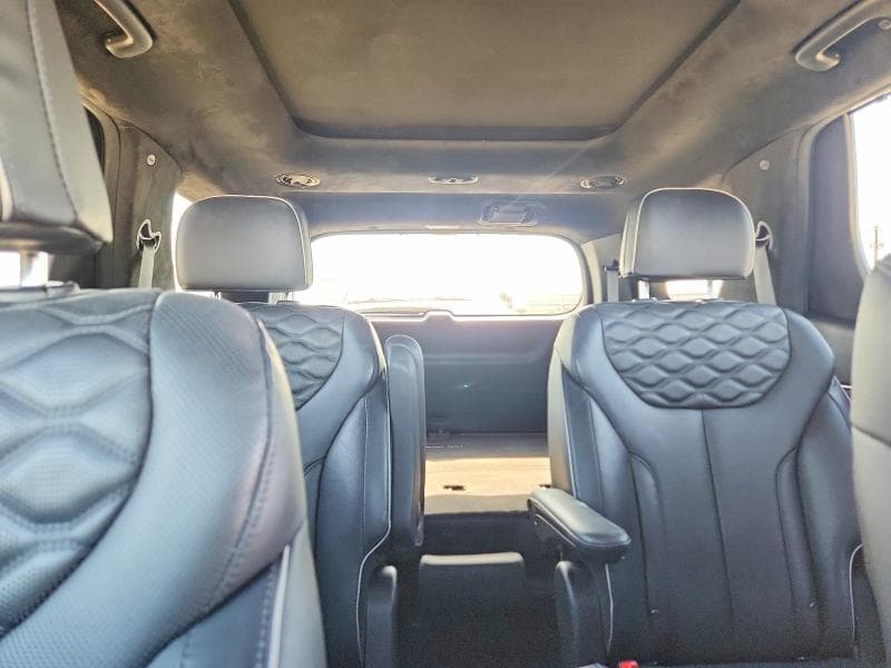 2020 HYUNDAI PALISADE LIMITED 10