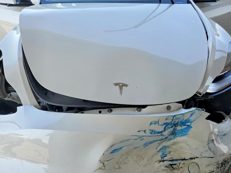 2023 TESLA MODEL Y 11