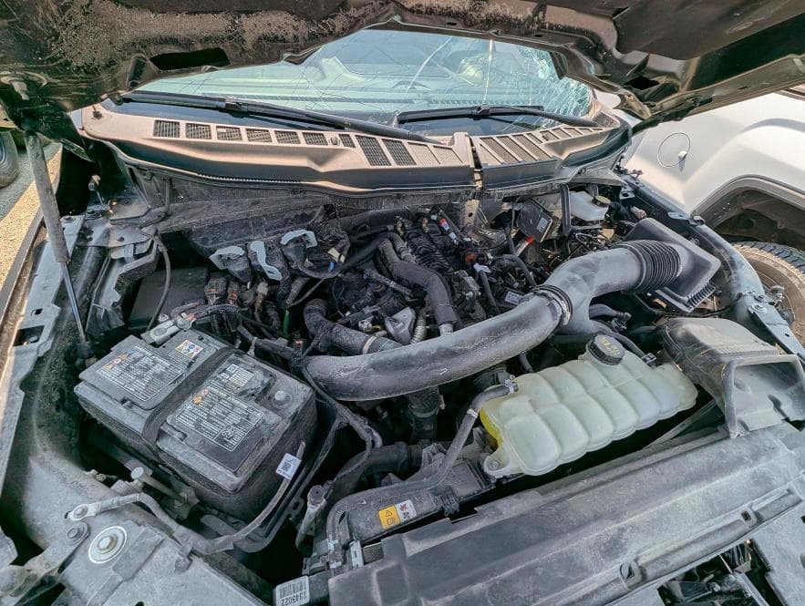 2025 FORD F150 XLT 11