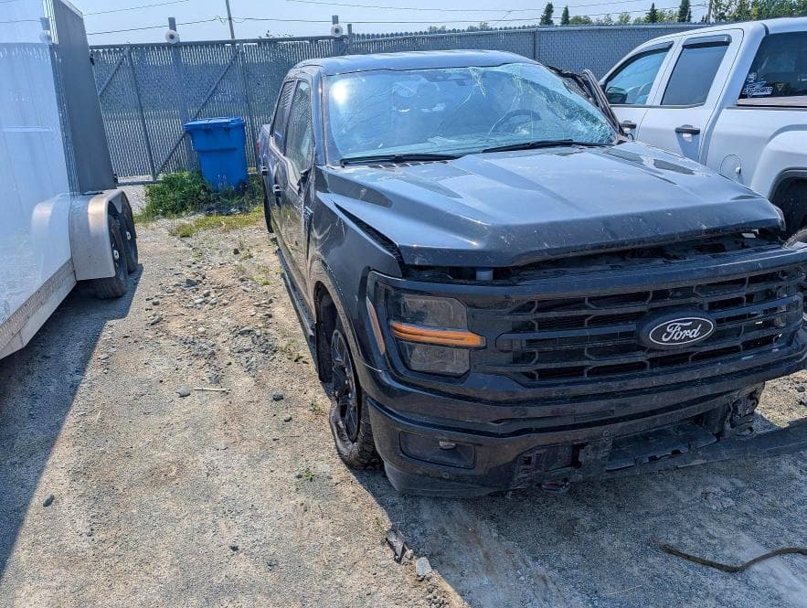 2025 FORD F150 XLT 4