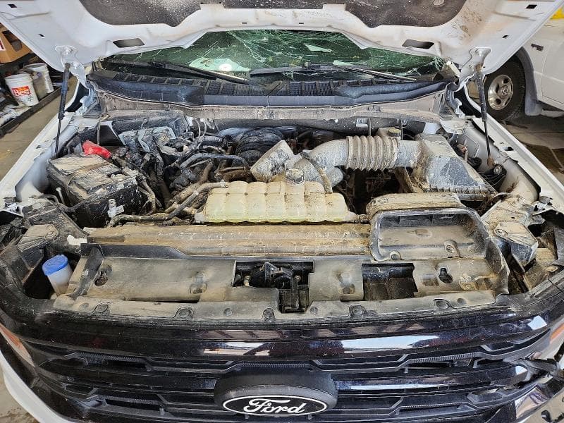 2025 FORD F150 XLT 11