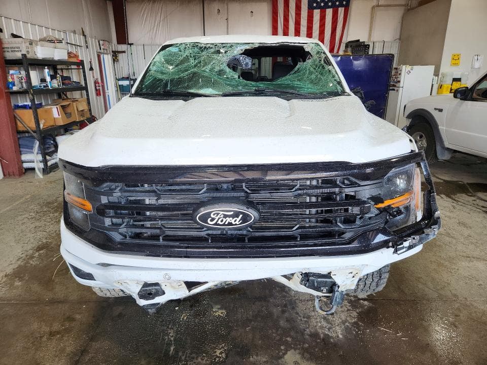 2025 FORD F150 XLT 5