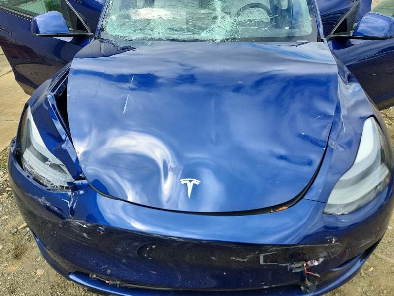 2022 TESLA MODEL Y 11