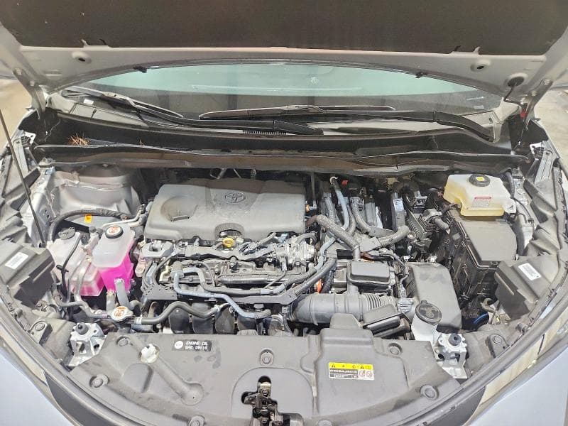2025 TOYOTA SIENNA XLE 8-PASSENGER 12