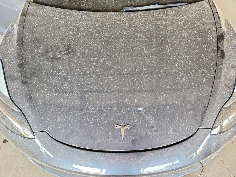 2023 TESLA MODEL 3 11