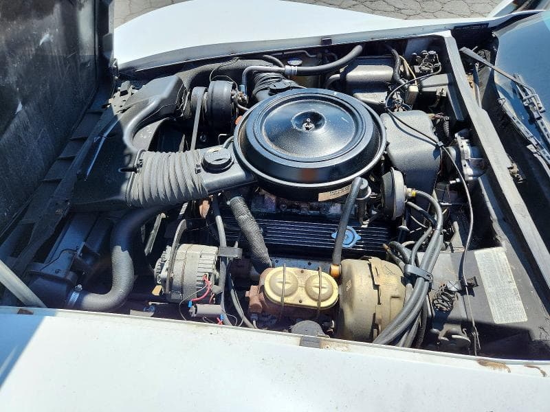 1979 CHEVROLET CORVETTE 11