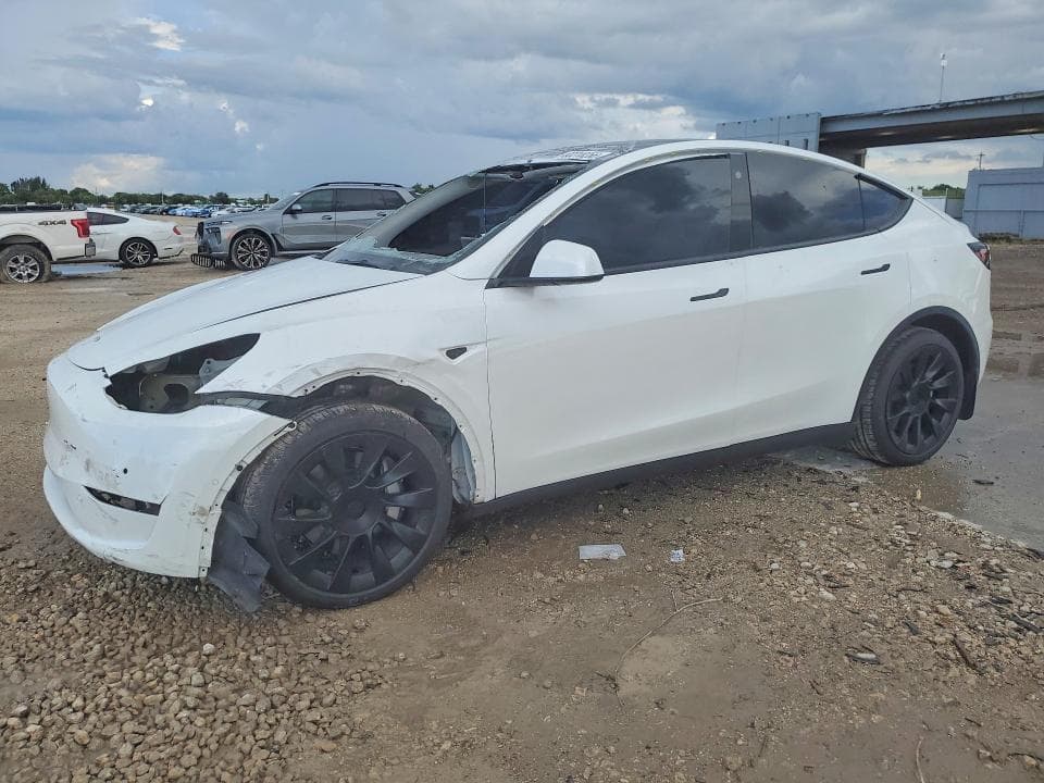 2021 TESLA MODEL Y - 1
