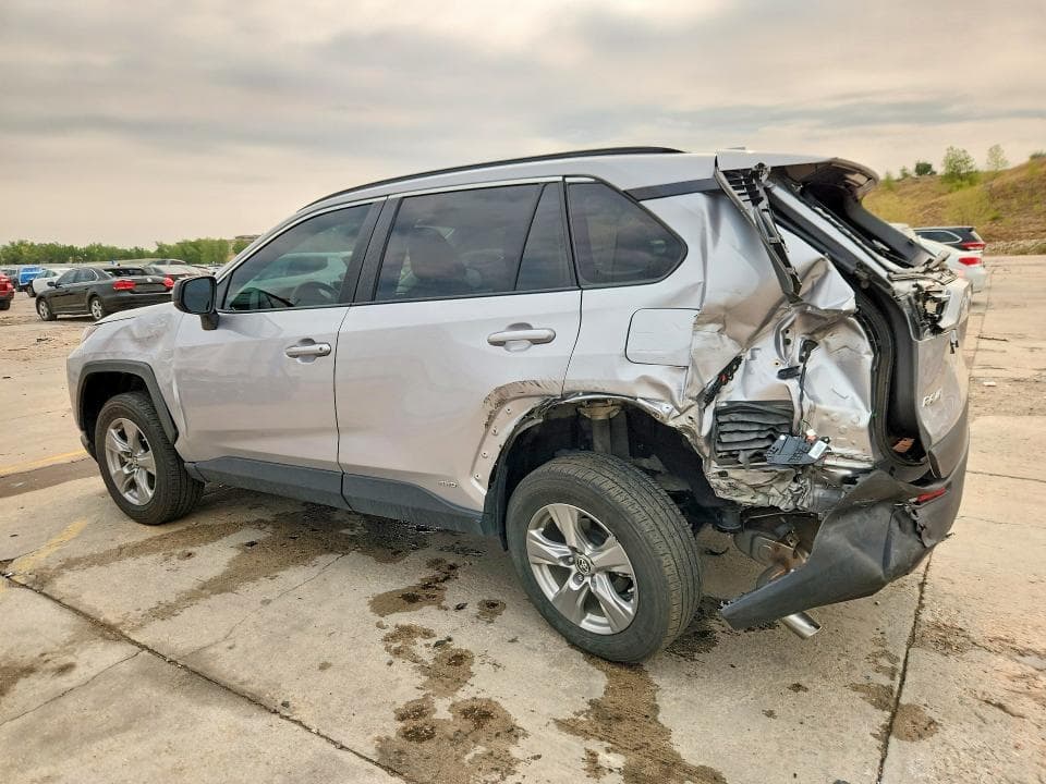 2024 TOYOTA RAV4 LE 2
