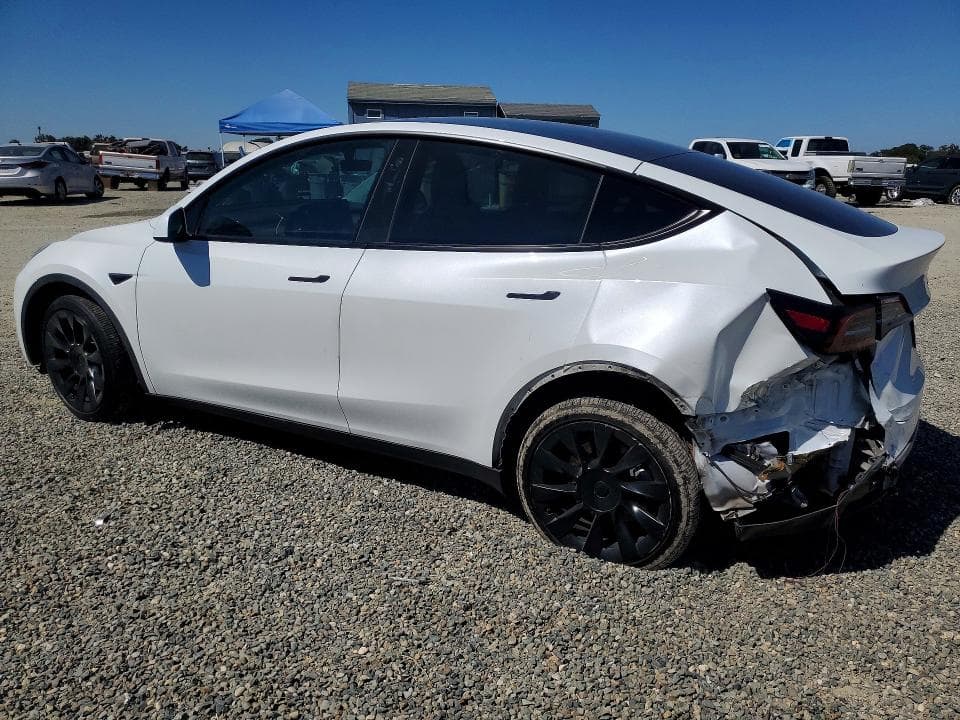 2021 TESLA MODEL Y 2