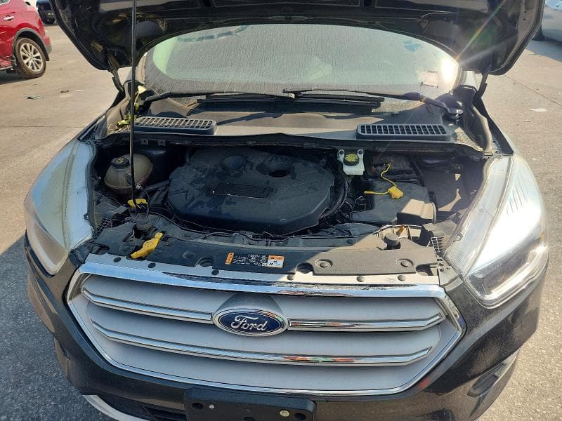 2019 FORD ESCAPE SE 12