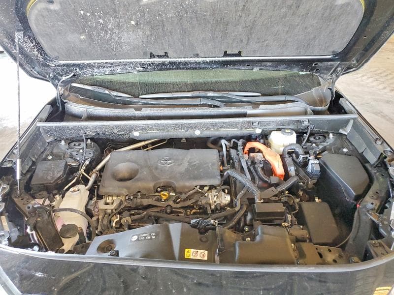 2025 TOYOTA RAV4 HYBRID XLE 12