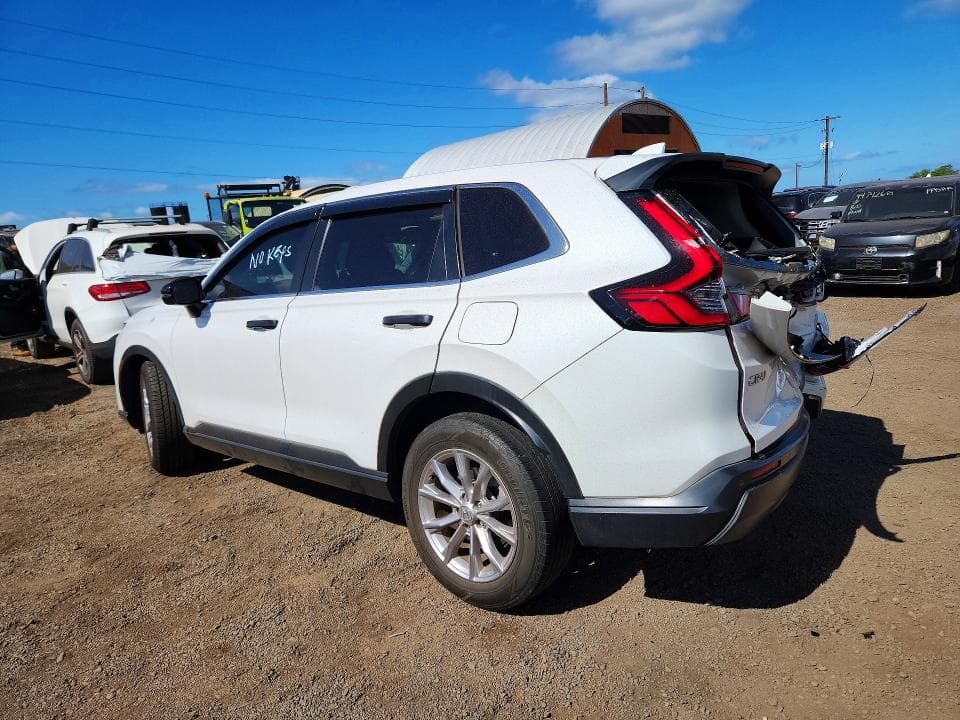 2024 HONDA CR-V EXL 2