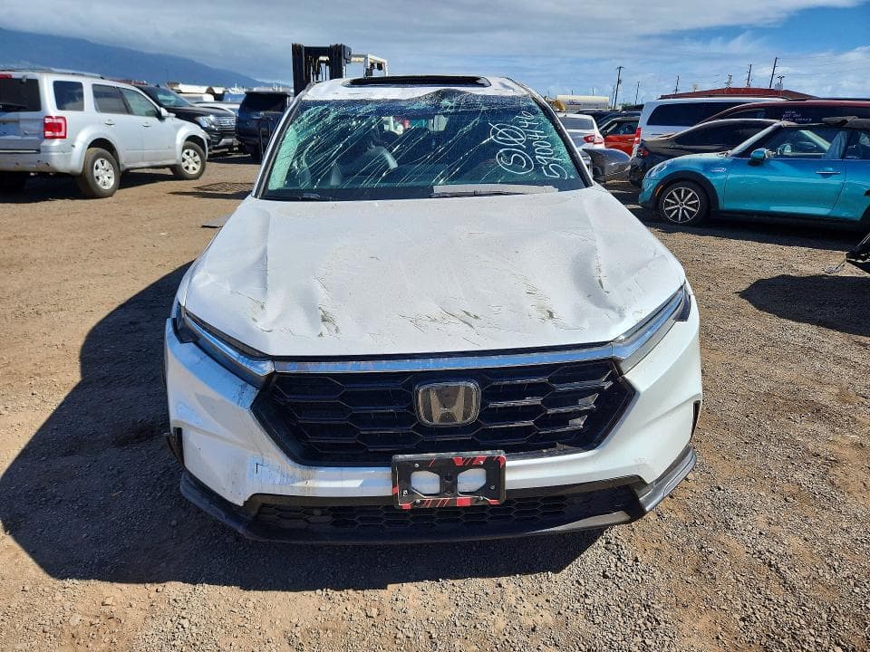 2024 HONDA CR-V EXL 5