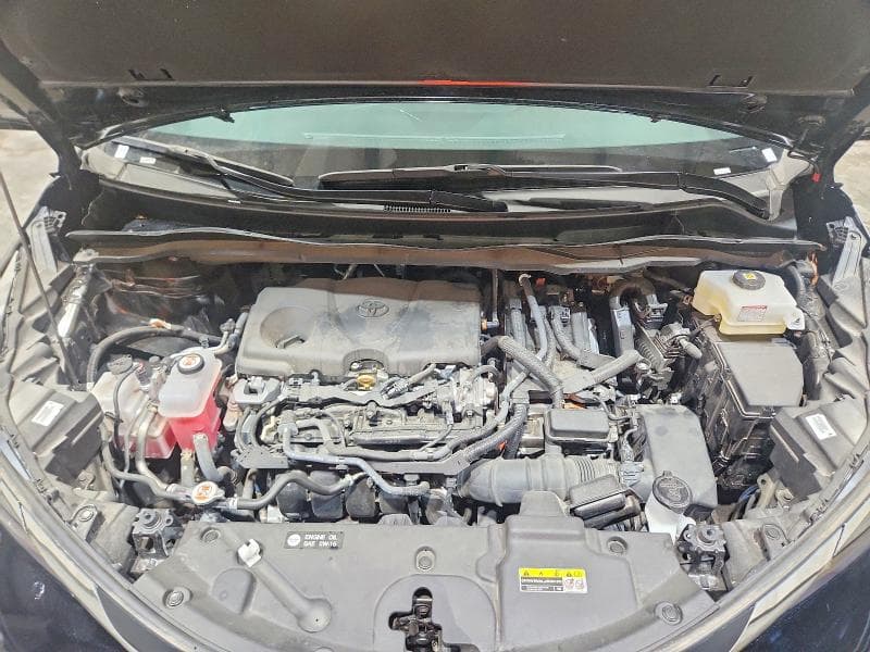 2025 TOYOTA SIENNA XLE 8-PASSENGER 12