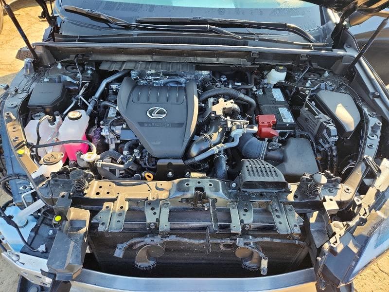 2024 LEXUS NX 350 BASE 11