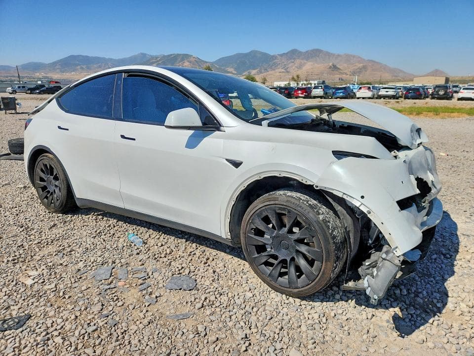2021 TESLA MODEL Y 4