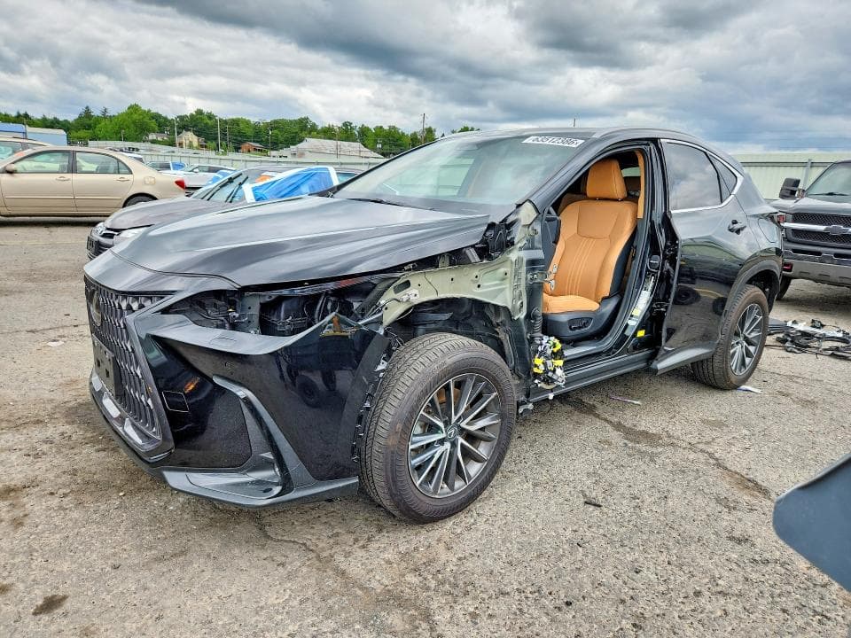 2023 LEXUS NX 350 - 1
