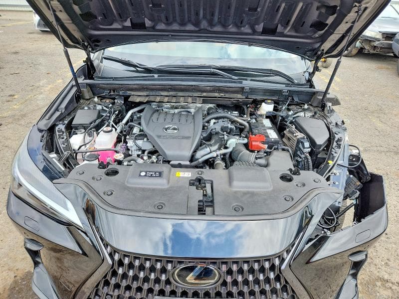 2023 LEXUS NX 350 12
