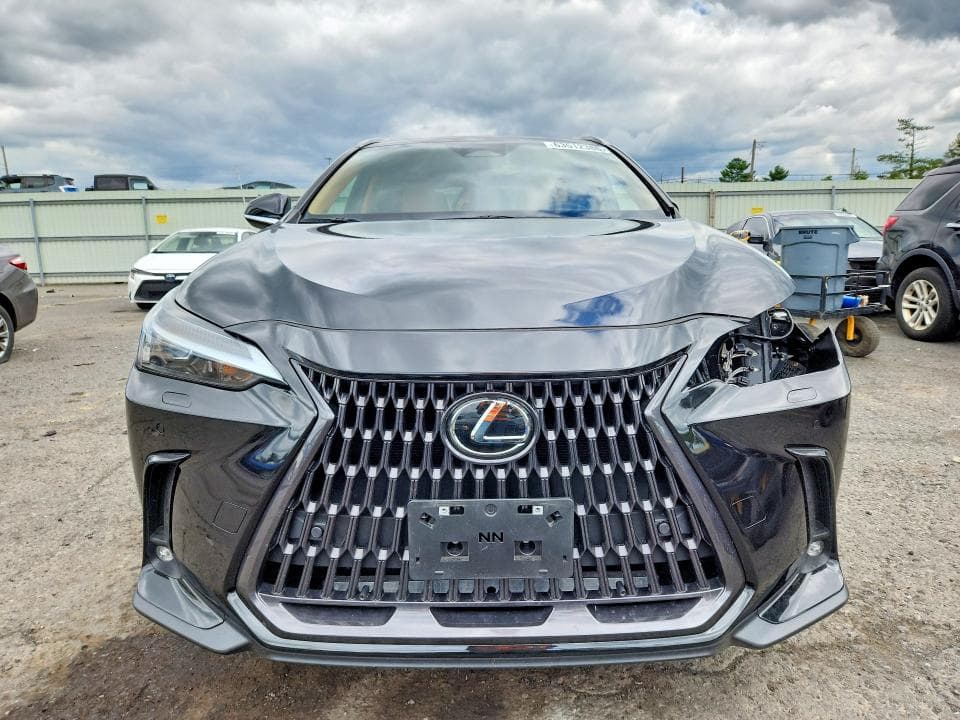 2023 LEXUS NX 350 5