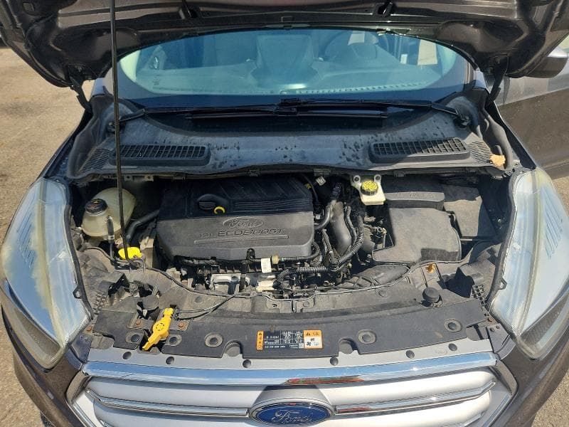 2017 FORD ESCAPE SE 12