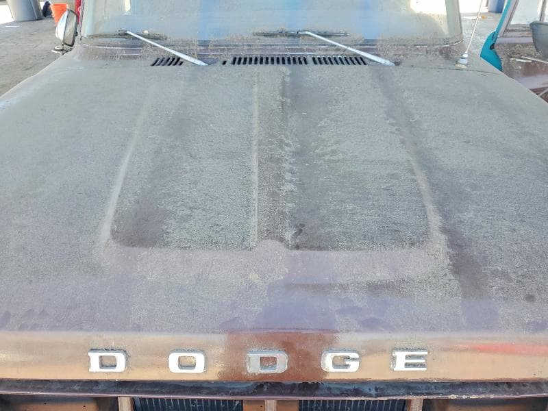 1969 DODGE TRUCK&CMPR 11
