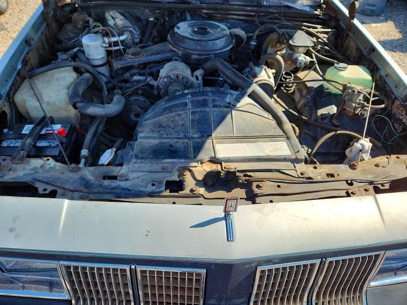 1982 OLDSMOBILE CUTLASS SUPREME 11