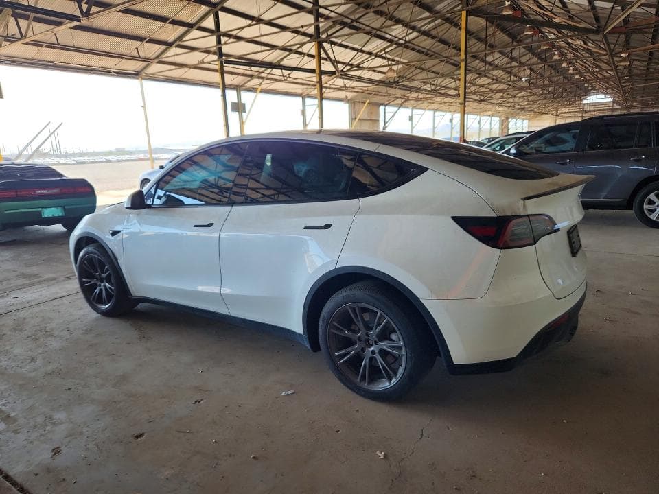 2024 TESLA MODEL Y 2