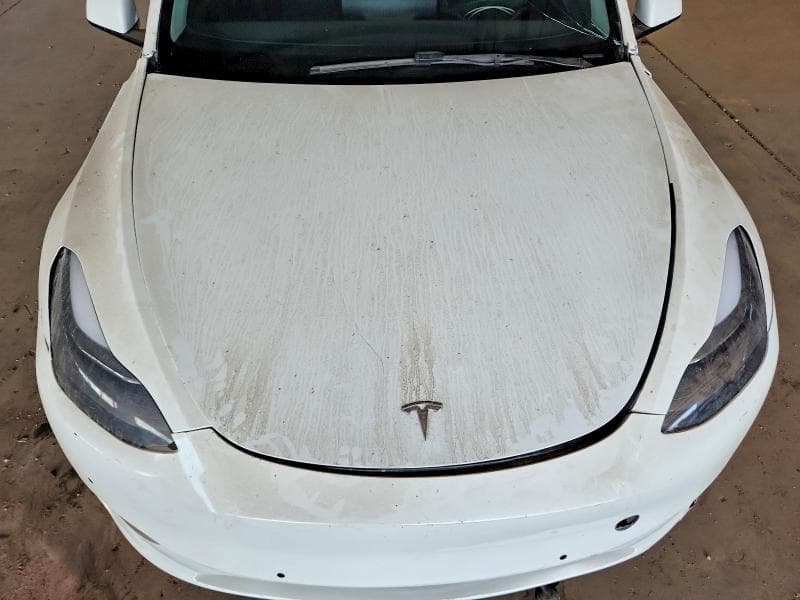 2024 TESLA MODEL Y 11