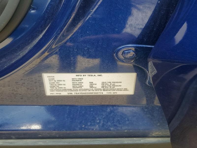 2024 TESLA MODEL Y 13