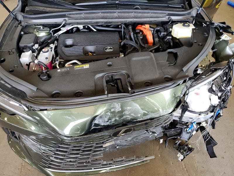 2025 LEXUS RX 450H+ LUXURY 12