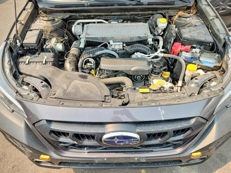 2024 SUBARU OUTBACK WILDERNESS 11