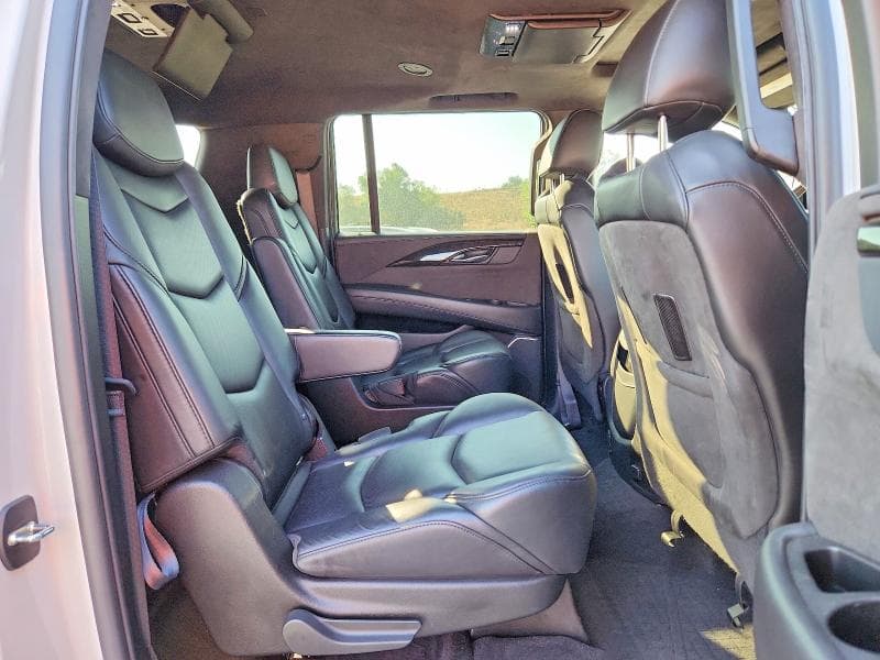 2020 CADILLAC ESCALADE ESV PLATINUM 11