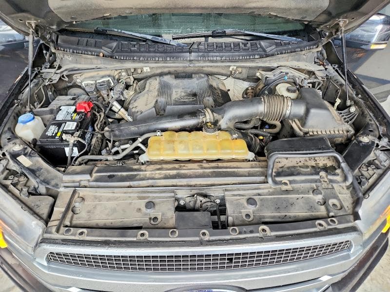 2019 FORD F150 SUPERCREW 11