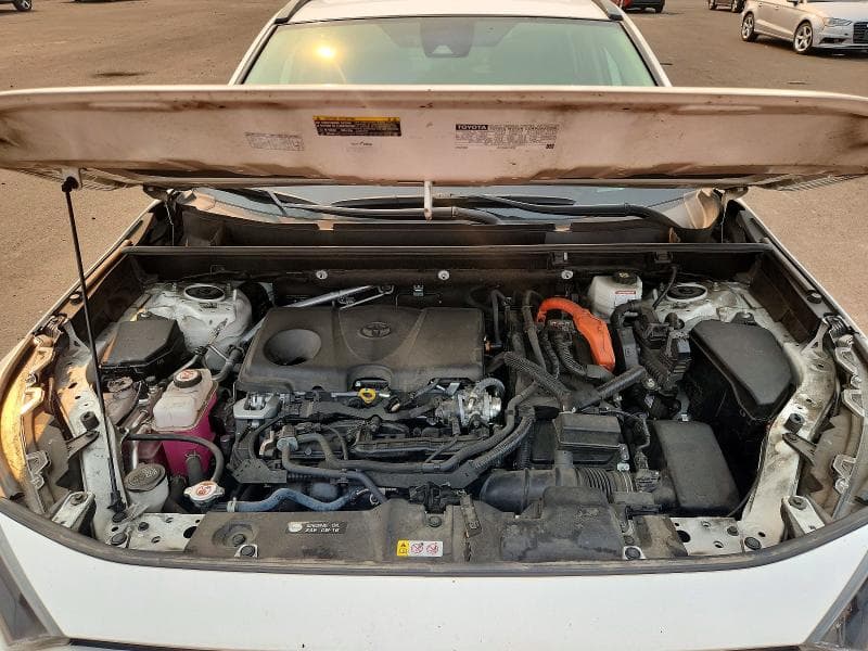 2022 TOYOTA RAV4 LE 12