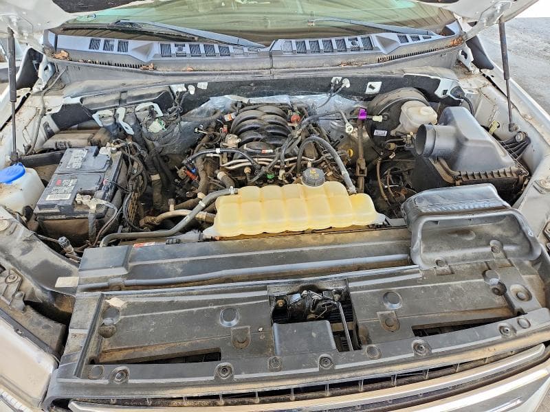 2019 FORD F150 11
