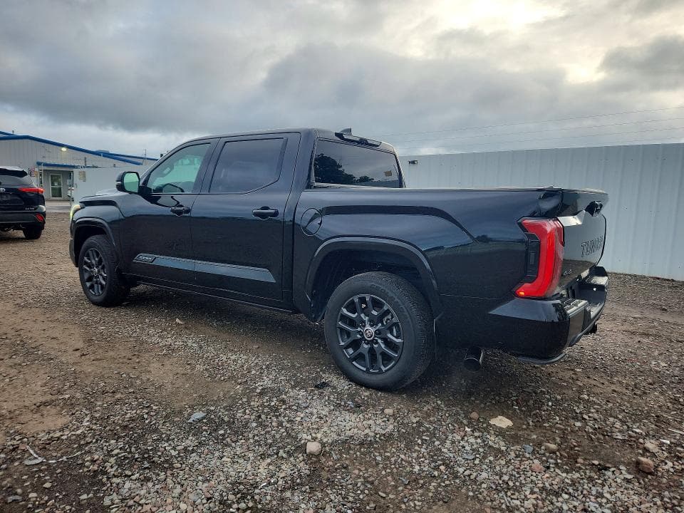 2024 TOYOTA TUNDRA PLATINUM 2