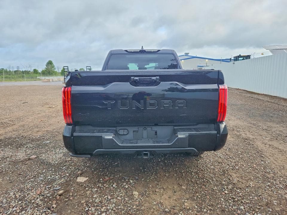 2024 TOYOTA TUNDRA PLATINUM 6
