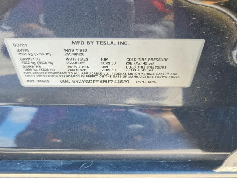 2021 TESLA MODEL Y 12