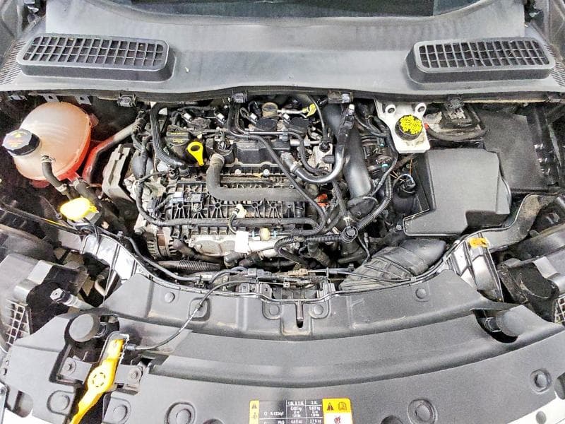 2019 FORD ESCAPE SE 12