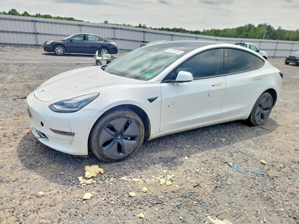 2019 TESLA MODEL 3 - 1