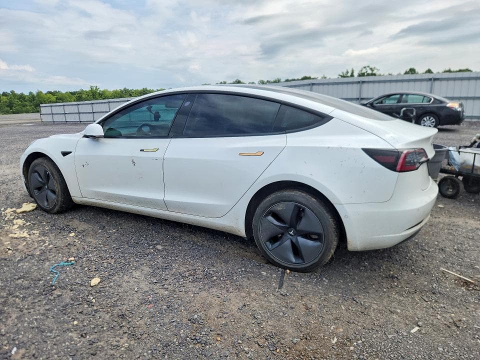 2019 TESLA MODEL 3 2