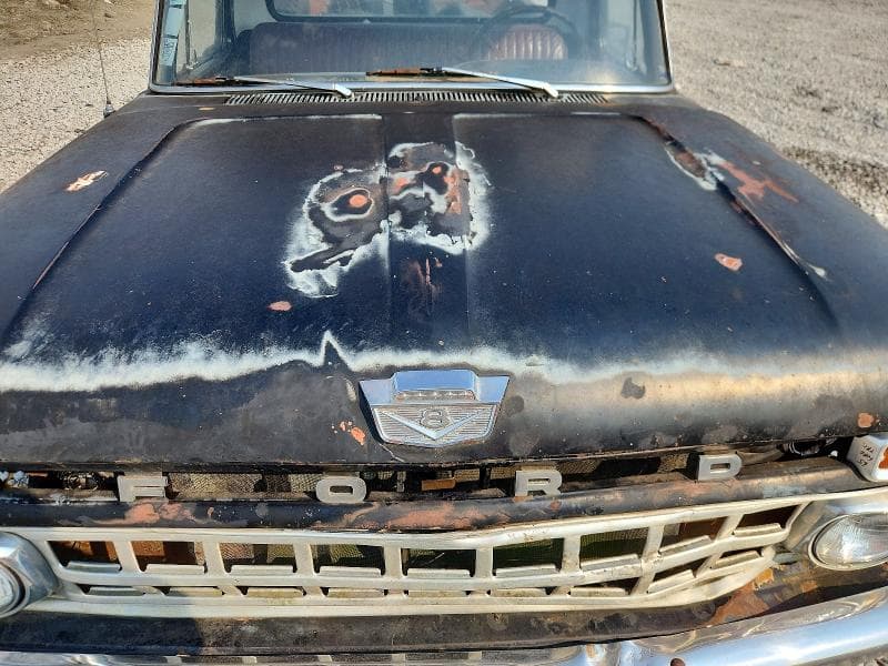1965 FORD F100 11