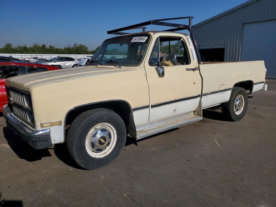 1981 CHEVROLET C20 - 1