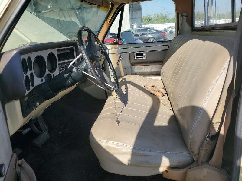 1981 CHEVROLET C20 7